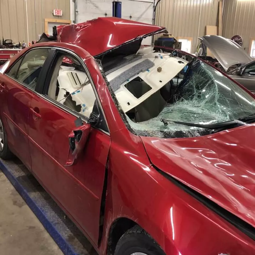3 People Lucky to Be Alive After Crashing Into Horse on the Loose
