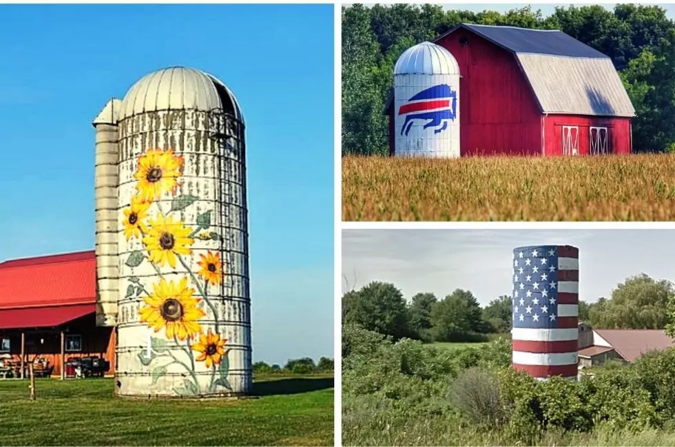 3 Stunning New York Silos With A Story