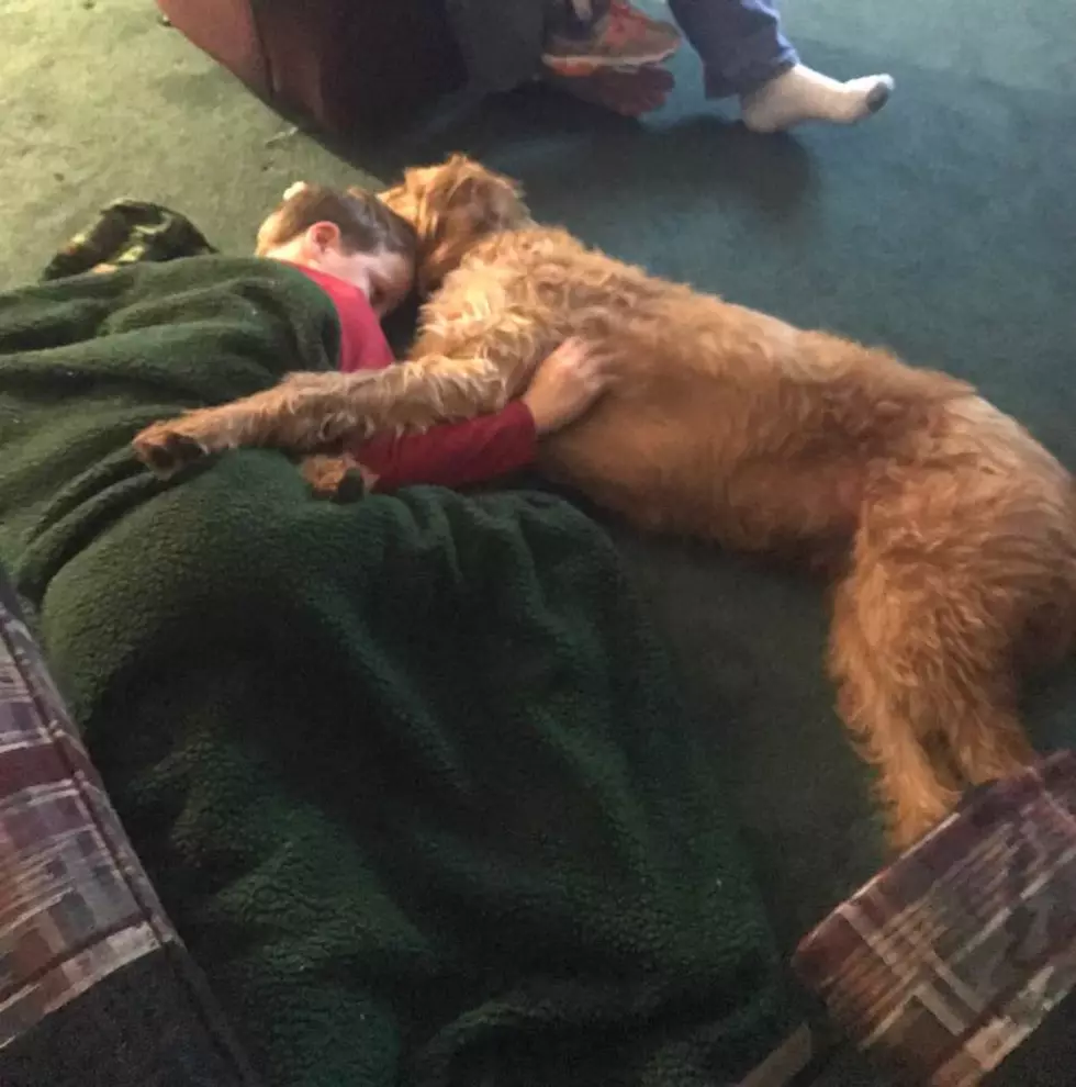 Rome Boy With Cerebral Palsy Reunited With Family Dog