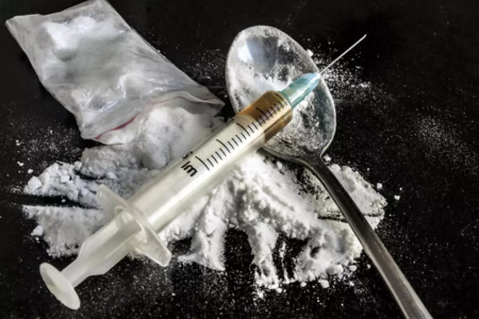 Six-Week-Old Puppy Dies of Heroin Overdose in CNY