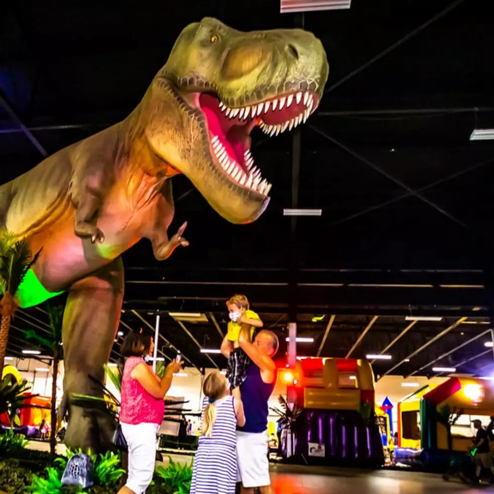 Interact With 60 Foot Dinosaurs When Dino Stroll Comes to Syracuse