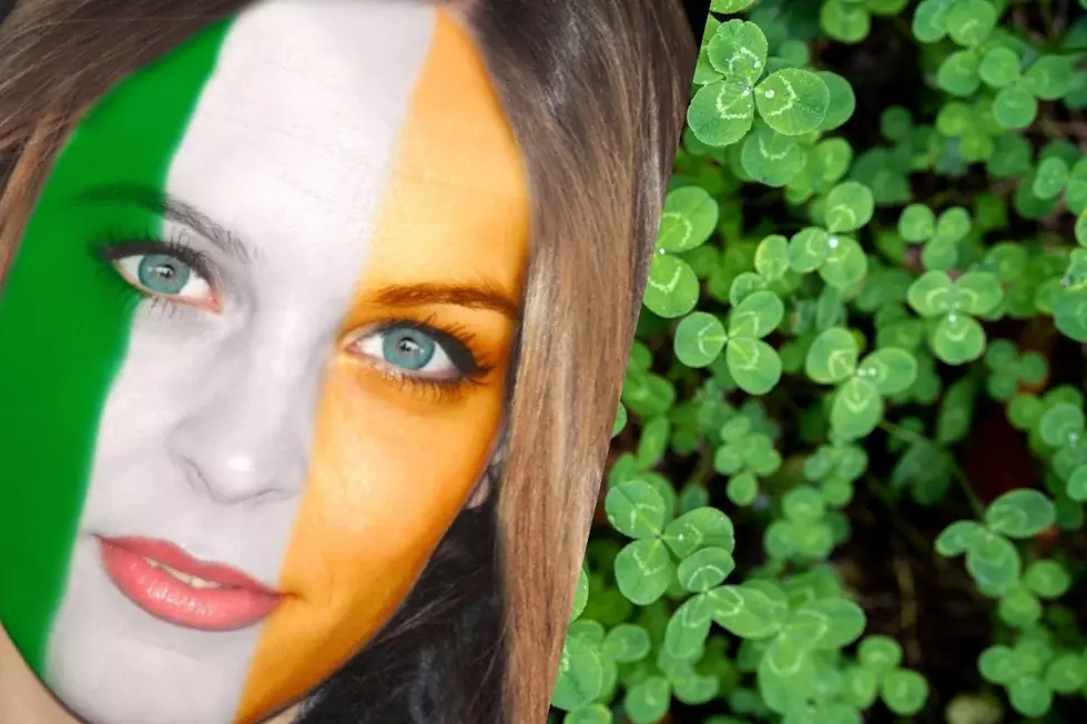 Which Counties In Central New York Might Be A Wee Bit Irish?