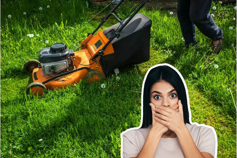 You’ve Heard Of ‘No Shave November'; What About ‘No Mow May’?
