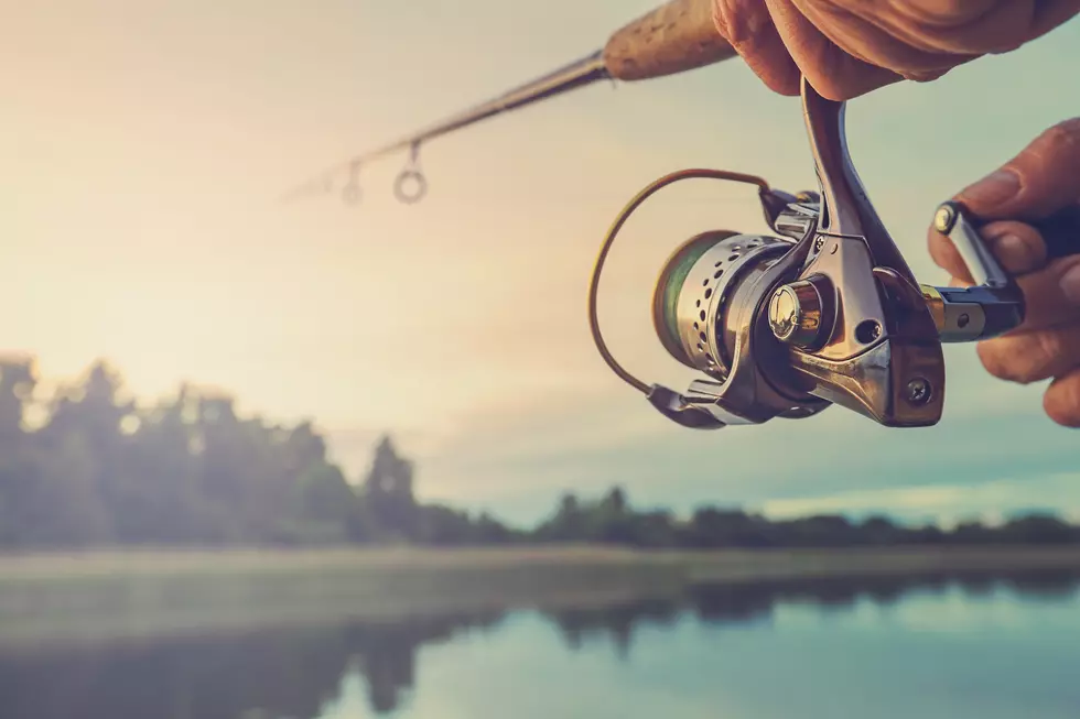 New York Challenges You As Many Fish Are Open To Catch May 1st
