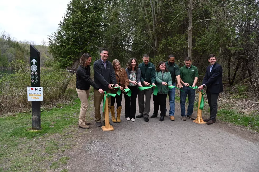 NYS Department of Environmental Conservation