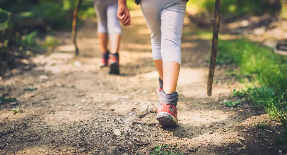 DEC Issues Warning Before Hikers Hit The Trails In NY This Week