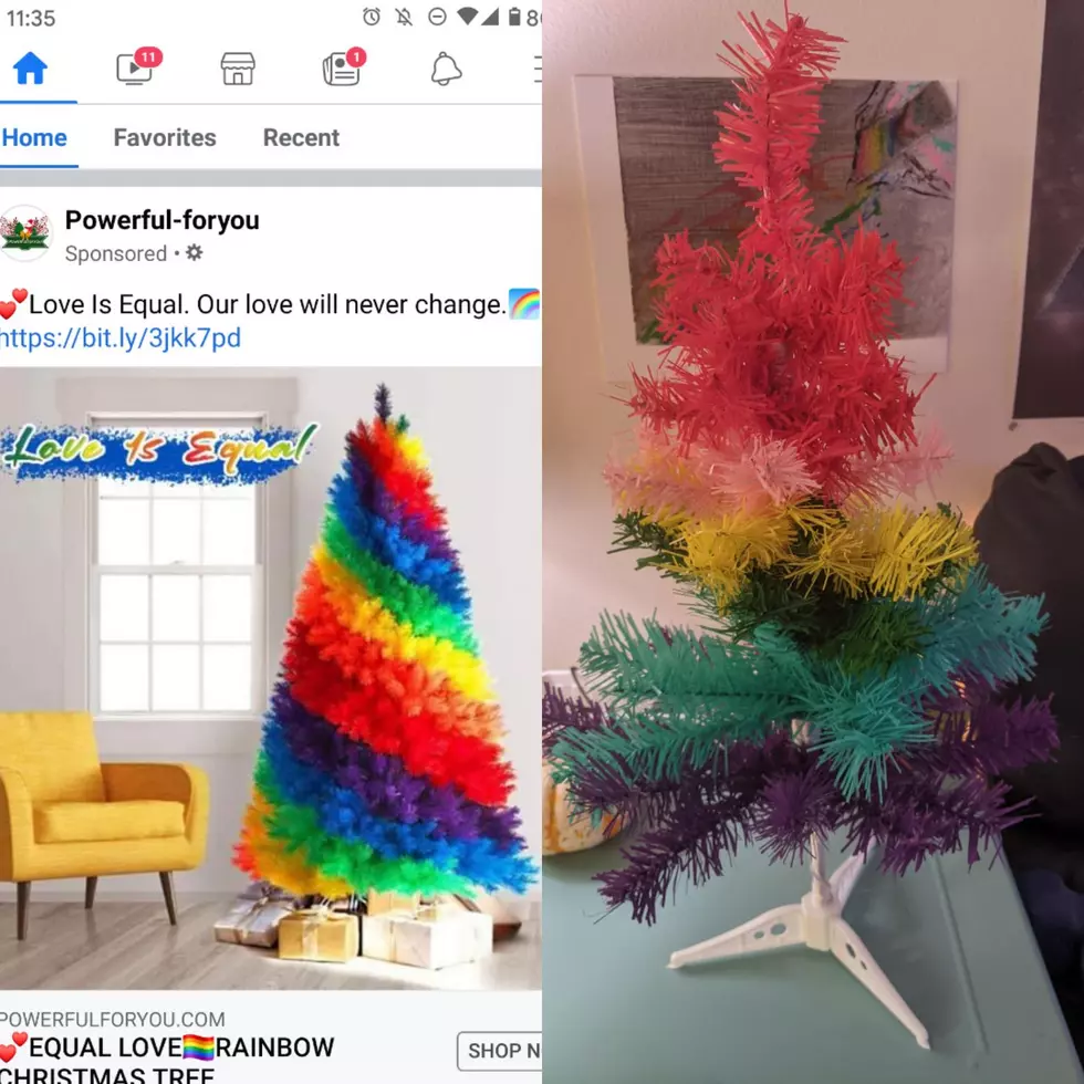 Credit - /soomanytomatoes via Reddit