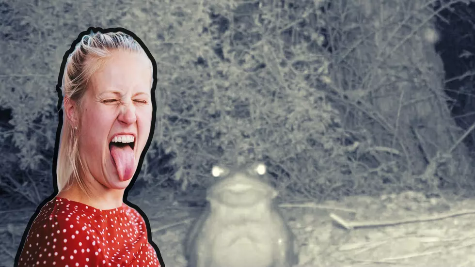 You Can’t Make This Up! Stupid Hikers Warned to Stop Licking Frogs