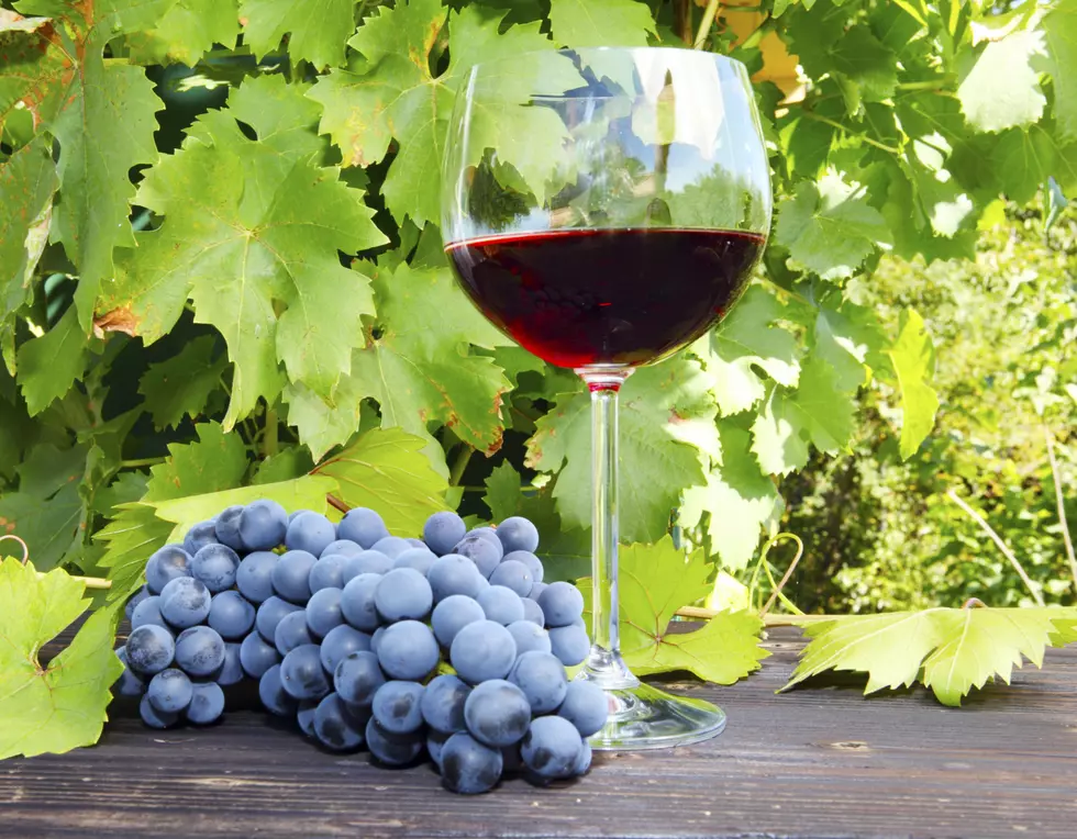 New York Winery Named One of the Best in the Country