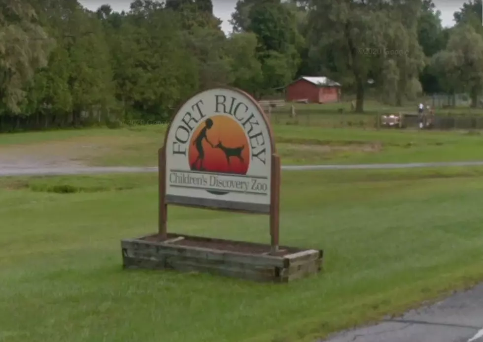 Fort Rickey Seeking a New Zookeeper