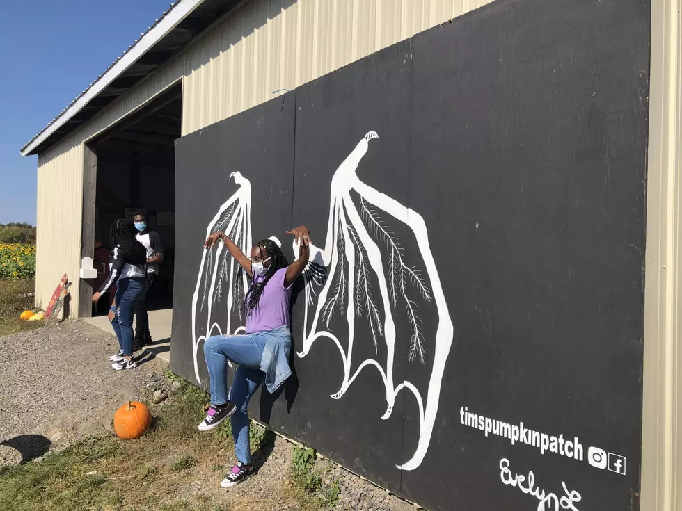 Tim’s Pumpkin Patch is Great Fun for Kids, Family and Friends