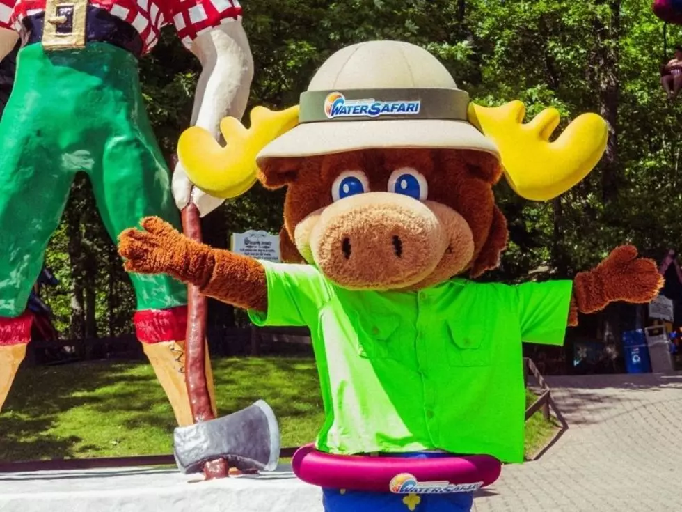 Work Where The Fun Never Stops – Water Safari is Hiring