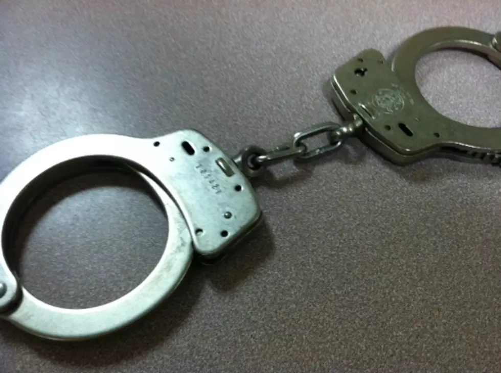 Bemus Point Woman Charged with Resisting Arrest Following Domestic Dispute
