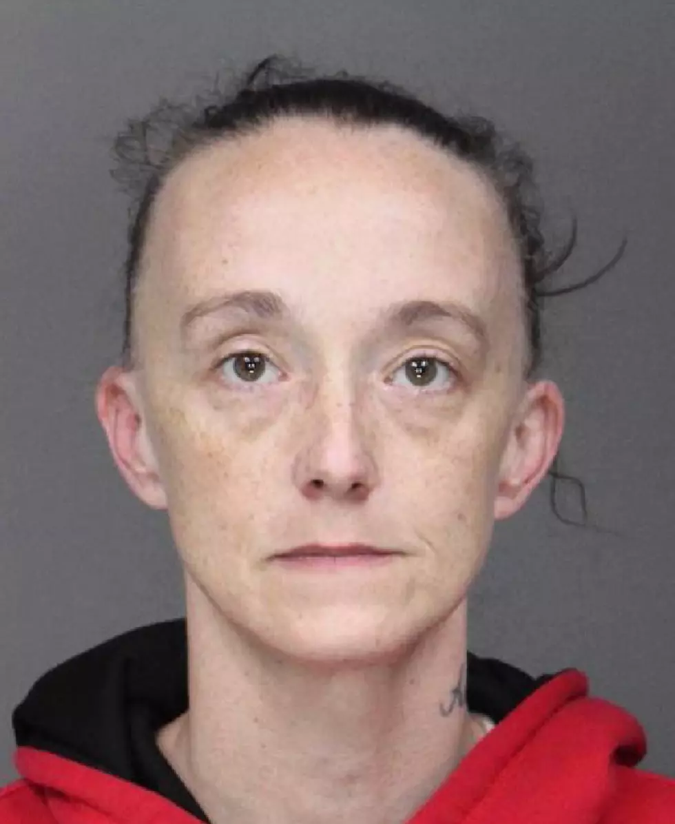 Police: Girlfriend of Utica Bus Driver Had Shotgun at School