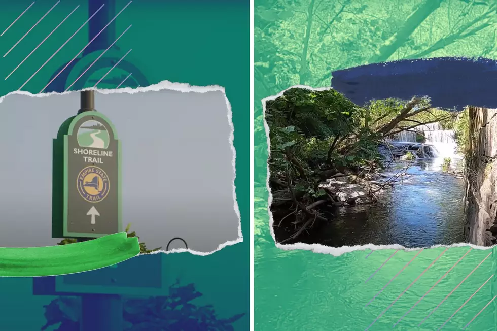 Two Of The Best Rail Trails In The U.S. Are In New York State
