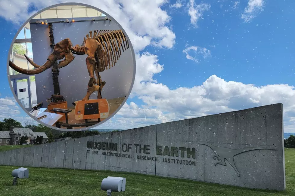 PHOTOS: Explore Earth and Its Prehistoric Past at the Museum of the Earth in Ithaca