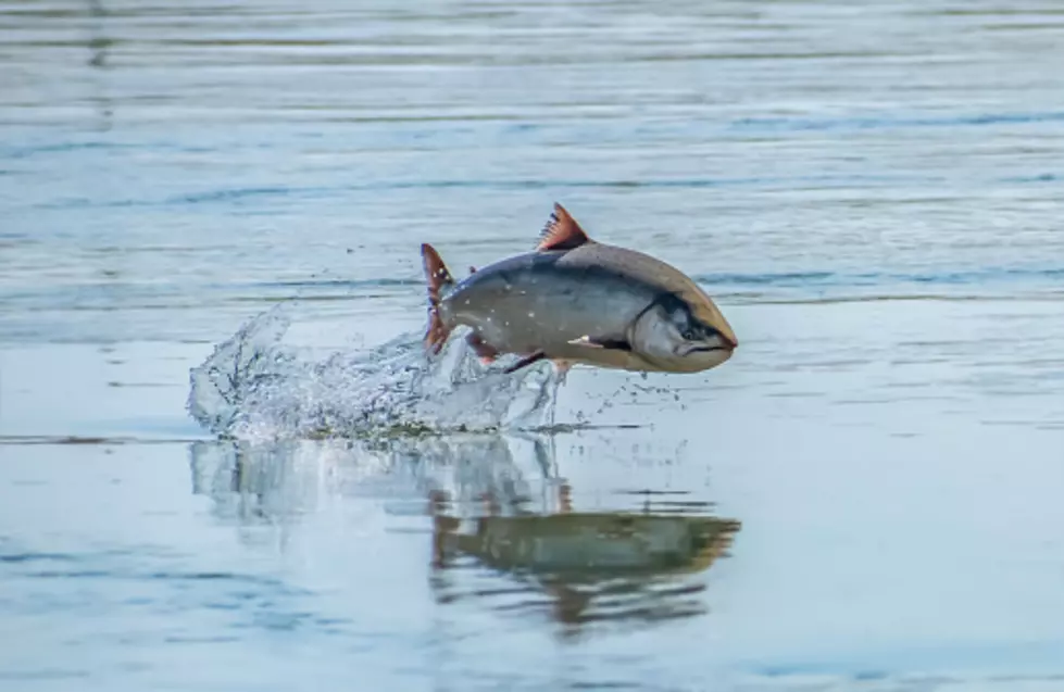 Hey New Yorker’s! Don’t Put Away Your Fishing Poles!