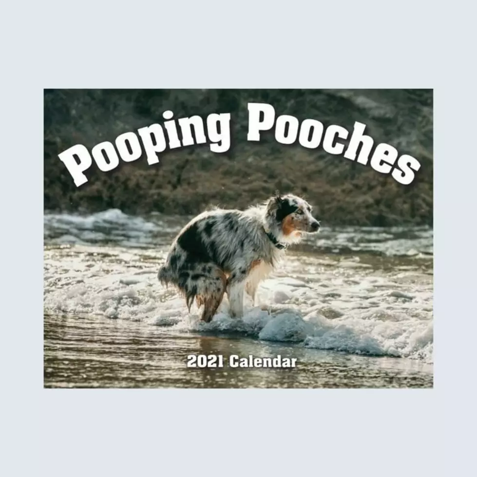 Dumbest Stuff You Can Buy On Amazon Prime Day
