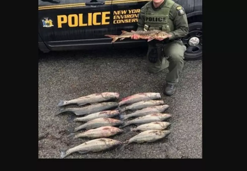 Many Cited For Illegal Fishing As New Season Starts in New York