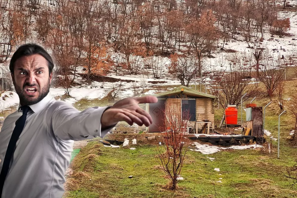 6 Reasons to Hate Spring in Upstate New York