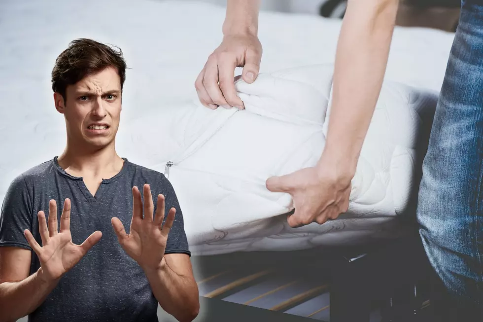Ewww… Free Mattress on Oneonta Marketplace, but What Happened?